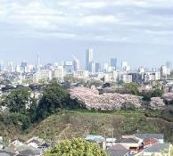 【展望】 | 横浜星の丘ビューシティA棟 | 東側眺望