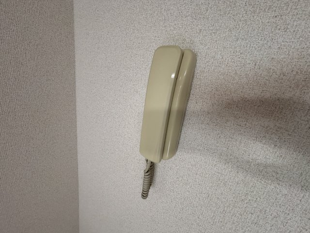 川崎市麻生区王禅寺西１丁目のアパートのセキュリティ