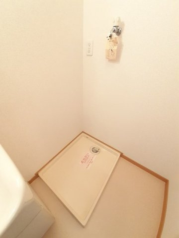 プラムのその他