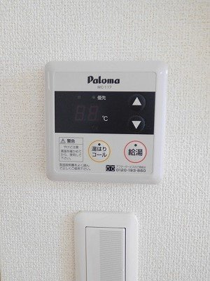 プラムのその他
