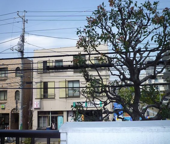 ルミエールキシの展望
