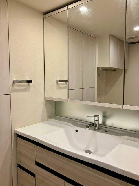 川崎市多摩区布田の賃貸マンションの洗面所