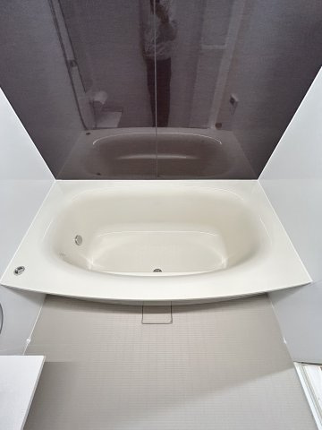 大阪市浪速区日本橋東１丁目の賃貸マンションの浴室
