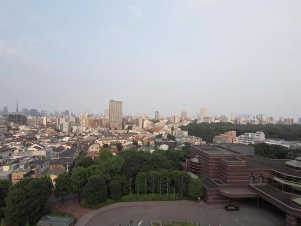 【展望】