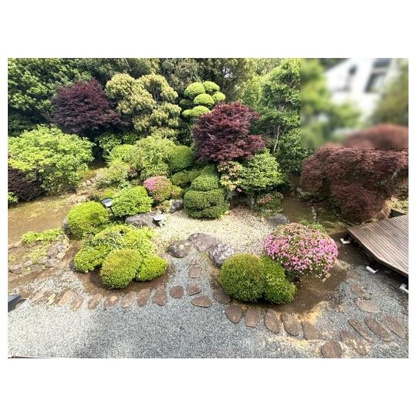 【庭】 | イトーピアA地区　戸建