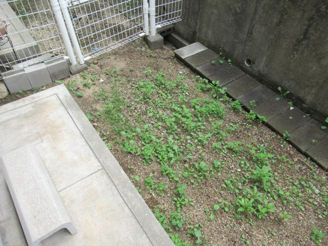 タウンハウス伊川谷の庭