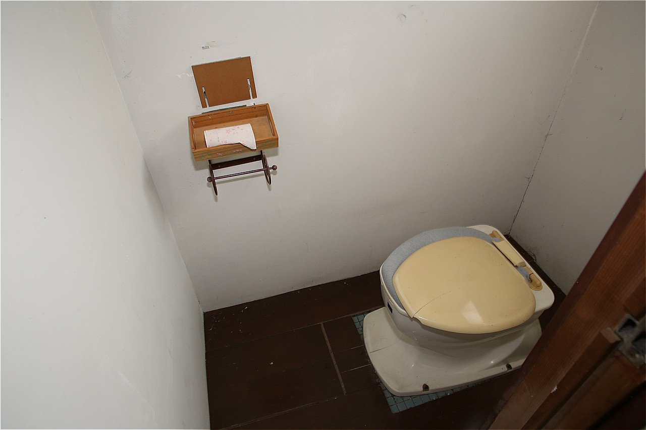 群馬県利根郡みなかみ町羽場 中古戸建のトイレ|落ち着いたトイレです