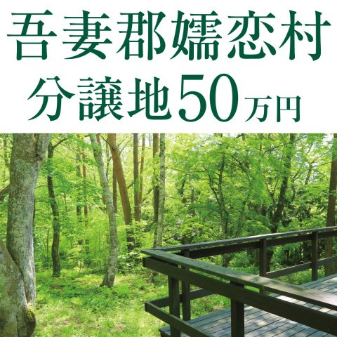 群馬県吾妻郡嬬恋村のその他