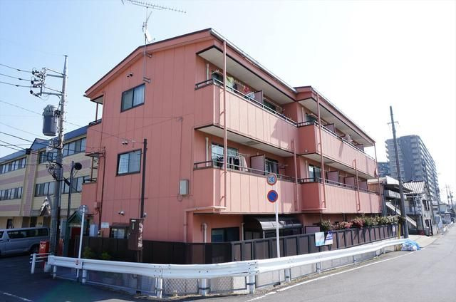 オアシス光