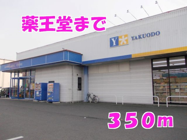 ドリームフェアⅢの周辺|薬王堂まで350m