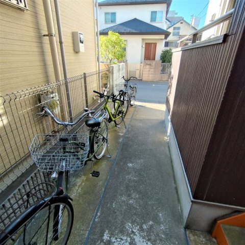 アロア並木のその他
