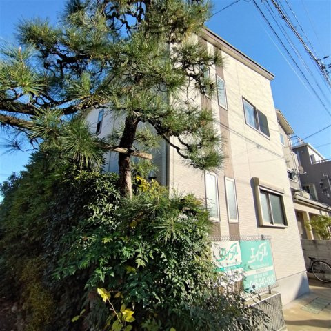 アロア並木の設備
