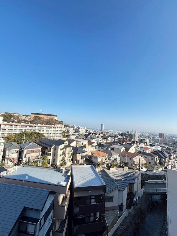 デュコムワイズの展望