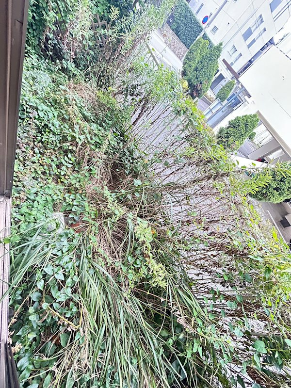 江川マンションのバルコニー