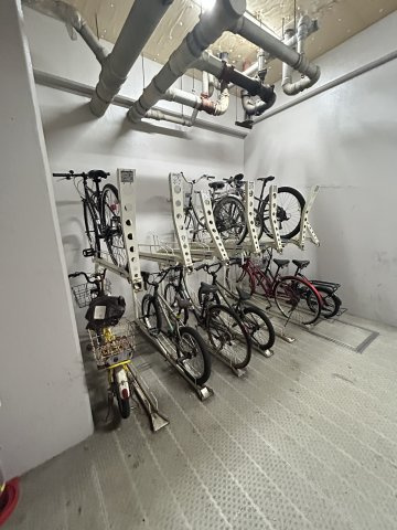 進和難波ハイライフのその他