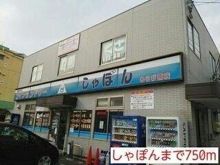 カサ・デ・マレーナのその他