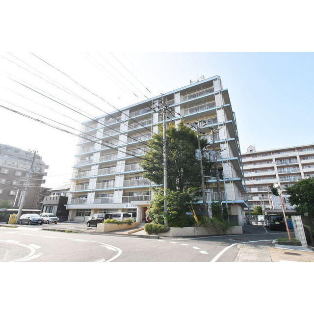 若林ビルの展望