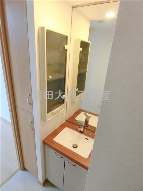 ルーブル仲六郷弐番館の洗面所|独立洗面台