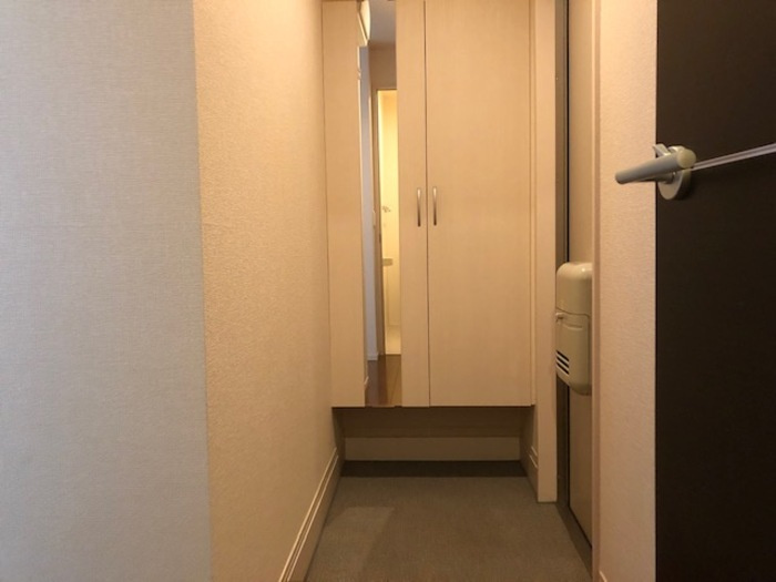 ファシリオンの玄関|同物件の別号室のお部屋です。現況を優先とします。