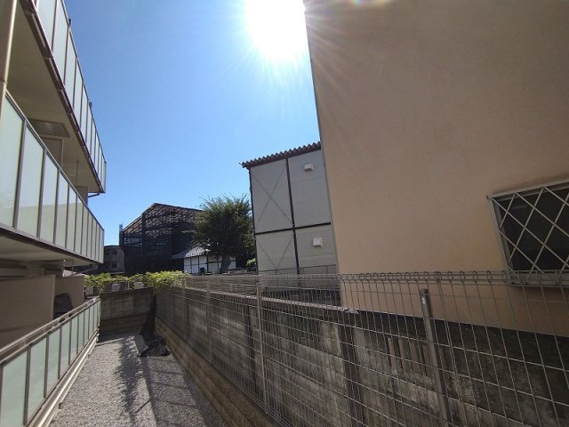 ミランダデアメルツのその他