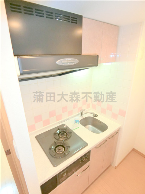 エル・ドゥーチェ蒲田のキッチン|2口ガスシステムキッチン　