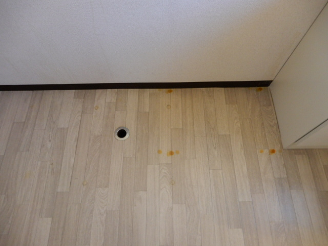 MAISON　SONE　Aの内装