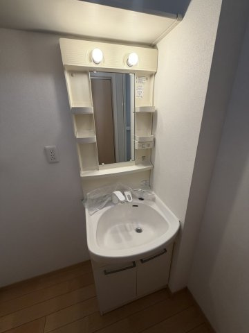 ラーチツリー住吉の洗面所
