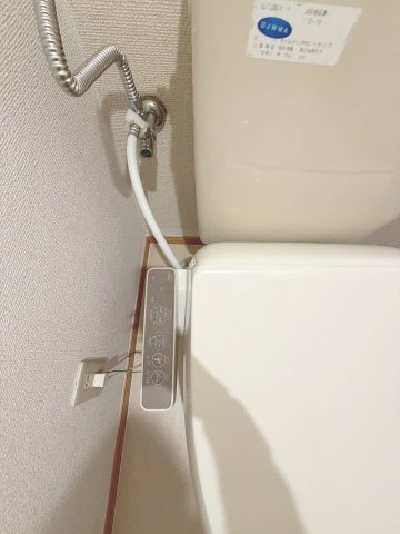 ルミエールのその他