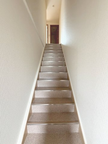 ルミエールのその他