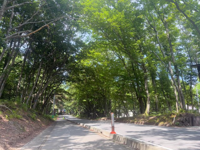軽井沢町追分の周辺