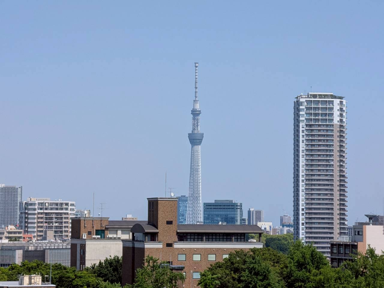 【展望】