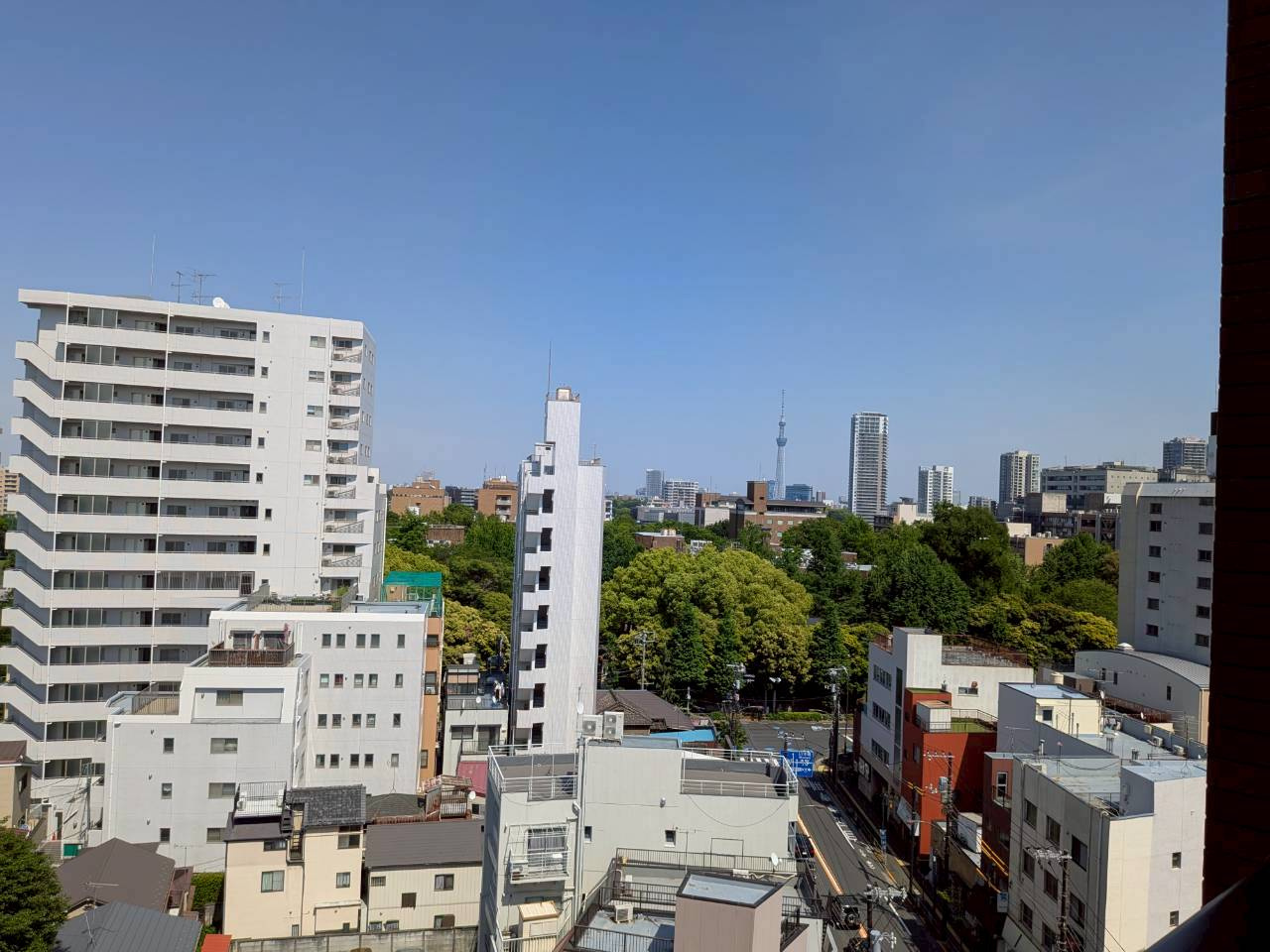 【展望】
