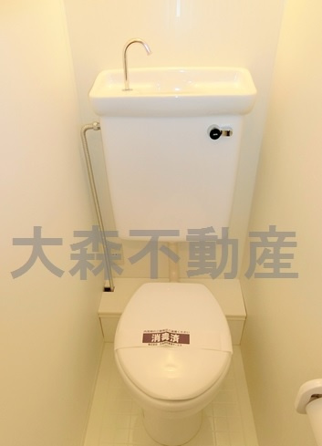ライオンズマンション鵜の木駅前のトイレ|トイレ