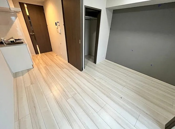 デュオフラッツ飯田橋WESTの内装