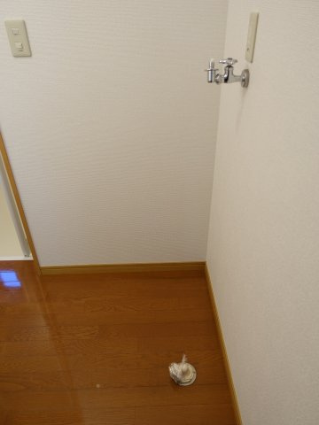 レイク・ノナのその他