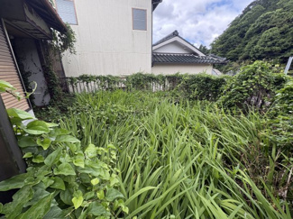 【庭】 | 丹波篠山市古市　店舗兼住居