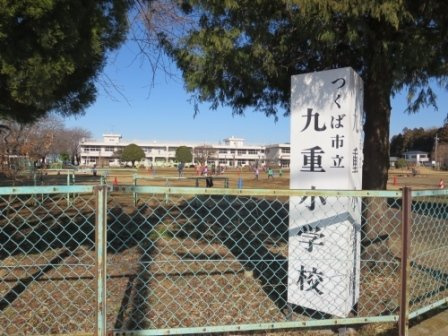 サンパティ－クの周辺|九重小学校まで1300m