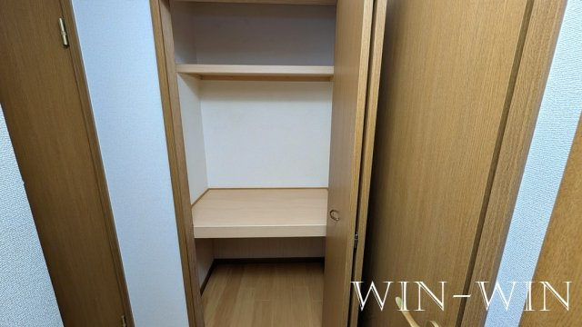 ドルフ・サンフラワーの収納