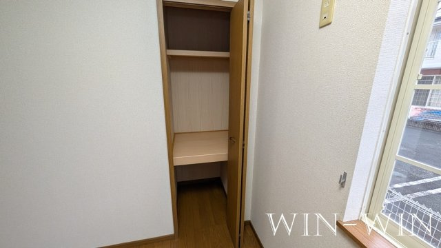 ドルフ・サンフラワーの収納