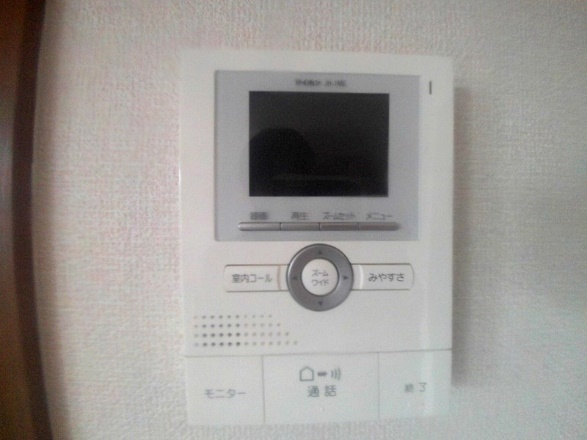 ヴィボヌールのセキュリティ