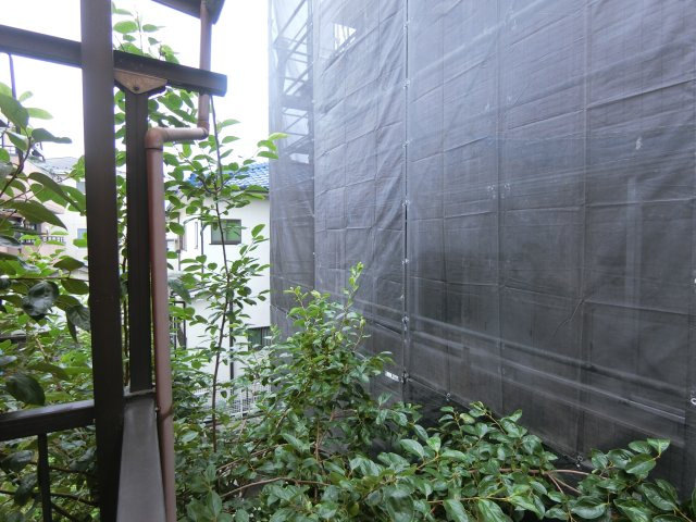 コーポ望月の展望