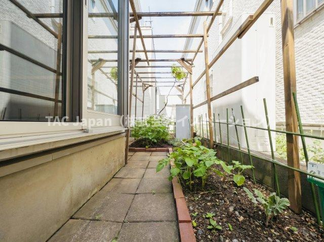 古千谷本町の良邸の庭|四季折々の彩りが楽しめるパーゴラのあるお庭。家庭菜園からブドウやゴーヤなどの育成にも適しています。