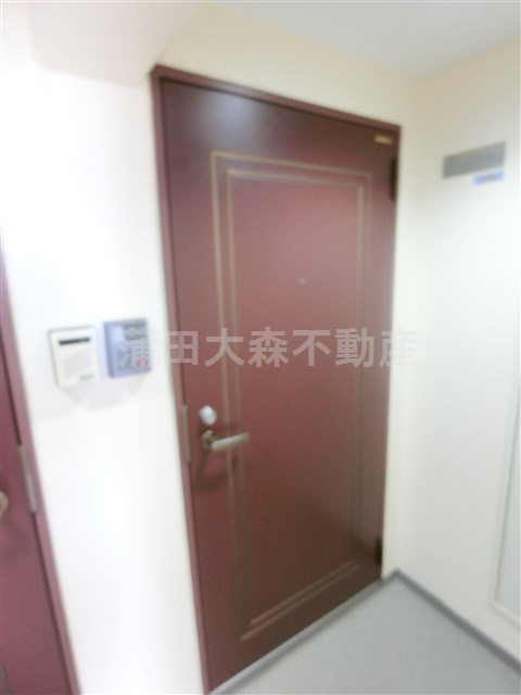 ミリオンコート池上の玄関