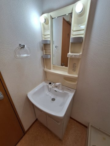 ディアナコートの洗面所