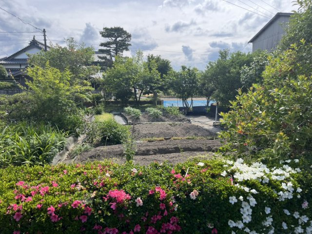 西条市北条中古住宅【650】土地298.93坪　建物不明の庭