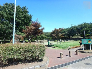 かにがさわ公園まで1145m