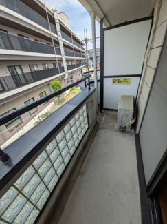  | みつがらす