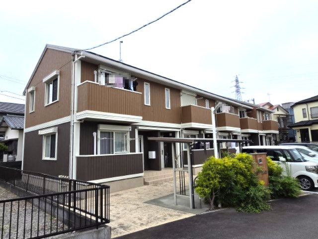 エヴァーグリーン光林