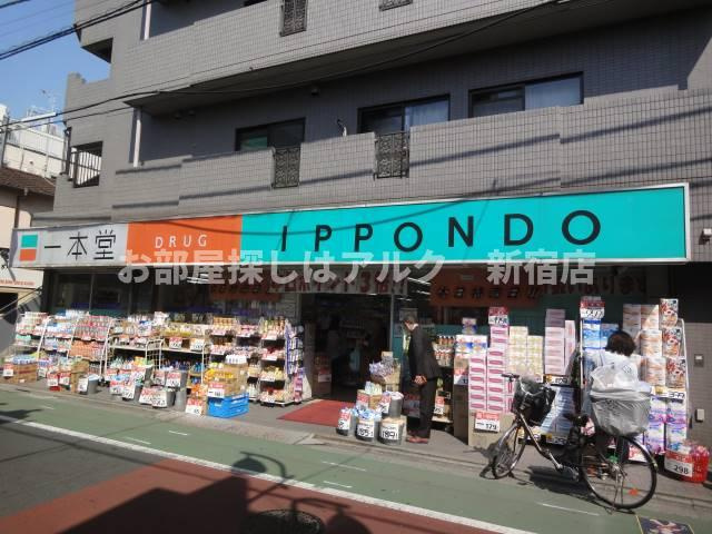 ハーモニーテラス上石神井Ⅳの周辺