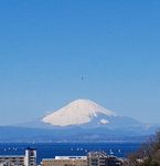 葉山町堀内　中古戸建の画像